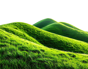 Lush, rolling green hills illuminated by sunlight against a black backdrop