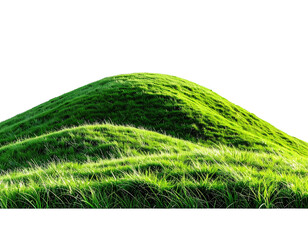 Lush green hill, backlit, isolated on a black background, showing texture