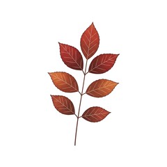 Autumn Leaf Branch Isolated on White.