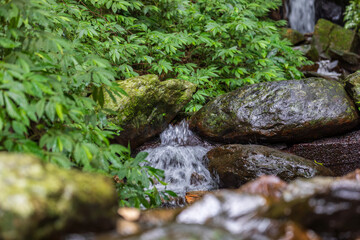 Clear streams and waterfalls in the forest