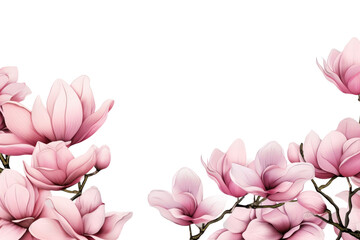 Naklejka premium PNG Magnolia backgrounds blossom flower.