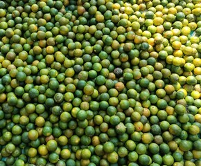 Large pile of small citrus fruits, mostly green with some turning yellow. They appear to be limes or calamansi, likely displayed in bulk at a market or for processing. 
