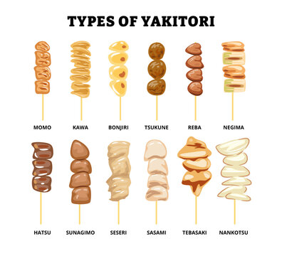 Different types of yakitori types set collection. Japanese grilled chicken skewers. Delicious japanese cuisine or dish. Asian traditional meal barbecue appetizer. Flat vector illustration.