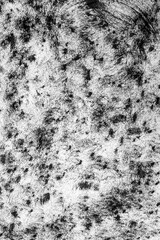 Texture made with gouache using a dishwashing sponge. Black paint texture on white paper sheet.