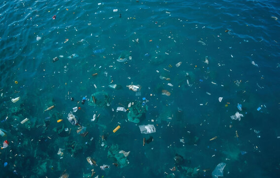 A lot of trash in the water, pollution, environmental issue