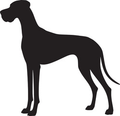 Great Dane Dog Silhouette Standing Vector Illustration Isolated on White Background

