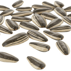Close-up of scattered sunflower seeds with distinctive black and white stripes isolated on white background