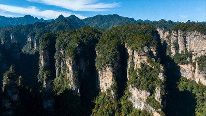 Mountain cliffs covered with dense forest