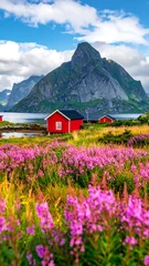Papier peint photo Villes / Voyage Colorful mountain landscape with vibrant flowers and charming red cabins  © ij