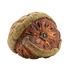 Detailed cross-section of a dried bael fruit, showing texture and seeds isolated on white background