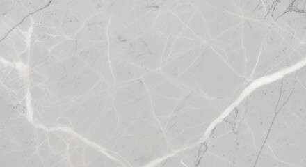 Elegant Light Gray Marble Texture with White Veins Detailed Stone Pattern