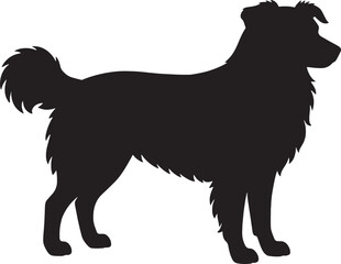 Fluffy Herding Dog Silhouette – Side View of Border Collie / Australian Shepherd Isolated on White Background

