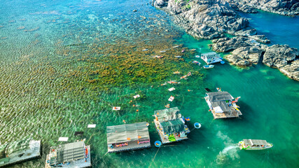 Top view of seaweed field in Nhon Hai, Quy Nhon, Binh Dinh, Vietnam © huythoai
