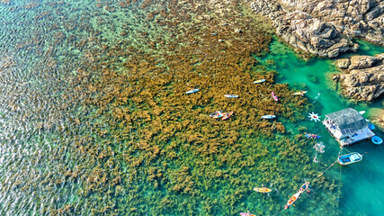 Top view of seaweed field in Nhon Hai, Quy Nhon, Binh Dinh, Vietnam