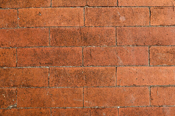 red brick tile floor texture background in garden
