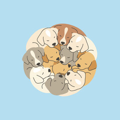 Cute puppies sleeping in curled position on light blue background  