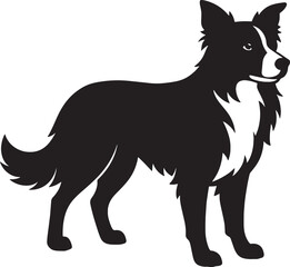 Border Collie Dog Silhouette – Detailed Standing Vector Illustration