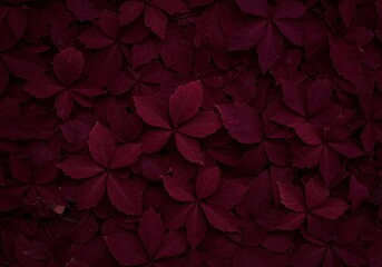 Deep burgundy leaf pattern background