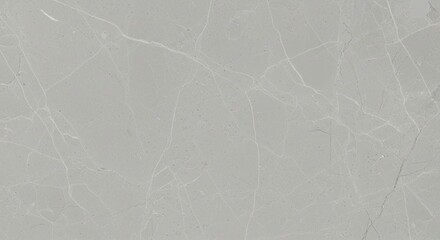 Light Gray Marble Texture With Natural Veins Detail Full Pattern
