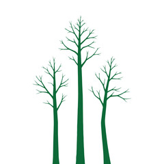 Three tall green trees with bare branches against white background.