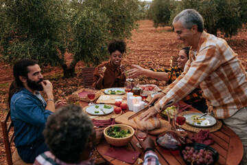 Friends enjoying a festive meal together in olive grove