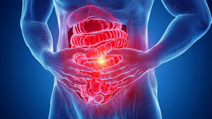 Artistic Medical Illustration of Human Abdomen with Highlighted Pain Area