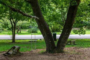 A wooden swing hanging from a tree trunk in the park