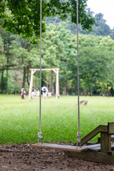 A wooden swing hanging from a tree trunk in the park