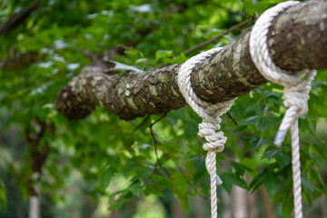 A wooden swing hanging from a tree trunk in the park
