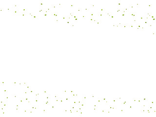 紙吹雪F、金粉、m4黄緑