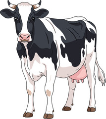 Holstein dairy cow illustration, black white cattle vector, farm animal clipart, milk cow design, isolated PNG, agricultural livestock art