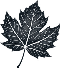 set of black leaves