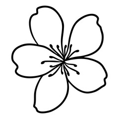 Cherry Blossom Flower Illustration