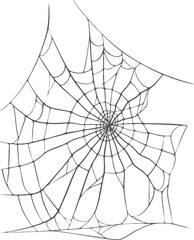 Obraz premium Spider web engraving, halloween decoration, cobweb isolated, hand-drawn spooky arachnid net