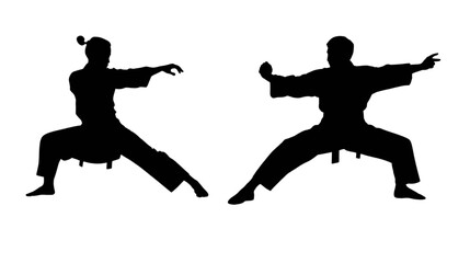 Kungfu movement silhouette