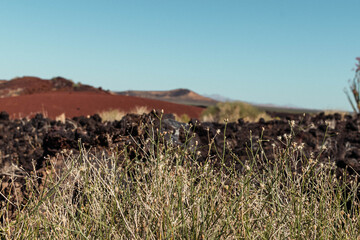 naturaleza, desierto