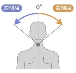 首の側屈の可動域イラスト　頸部のROM