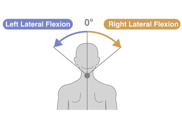 Illustration of Thoracolumbar Spine and Trunk Range of Motion (ROM)