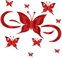 illustration butterfly vector desgine