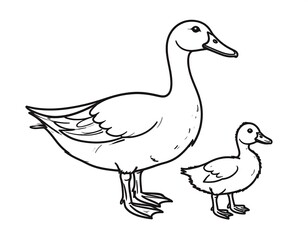 Obraz premium Two ducks, one large and one small, simple line drawing