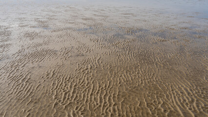 The seabed exposed at low tide. A bizarre pattern of twisted sand ridges and puddles of water. Full screen. Madagascar.