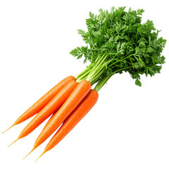Several fresh, vibrant carrots with their lush green tops are displayed against a plain black backdrop, emphasizing their bright orange color.
