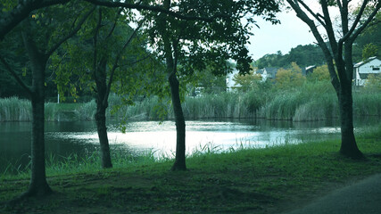 大百池公園　千葉県千葉市緑区