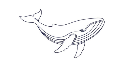 Elegant whale line art illustration against a clean white background providing a minimalist design