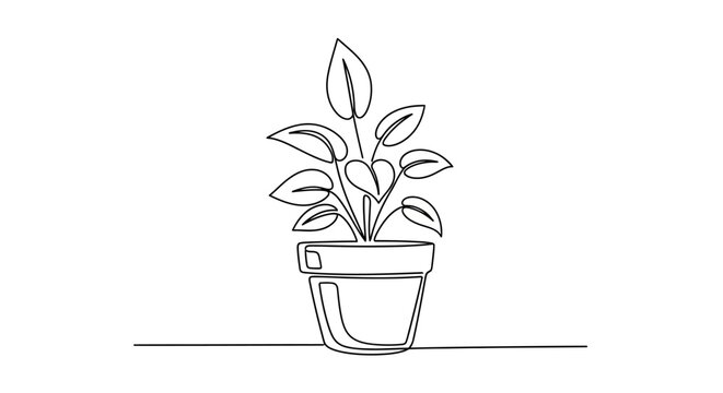 Continuous line drawing of a plant in a pot evoking simplicity and minimalism for creative designs