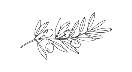 Elegant minimalist line art illustration of an olive branch with ripe olives and leaves