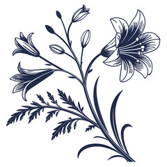 black and white bluehead gilia