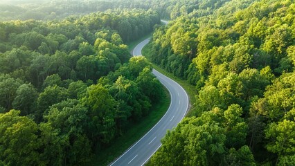Aerial view of a winding road through a dense green forest