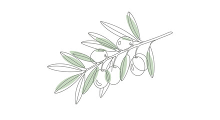 Elegant and Minimalist Olive Branch Illustration with Delicate Green Accents and Line Art Design