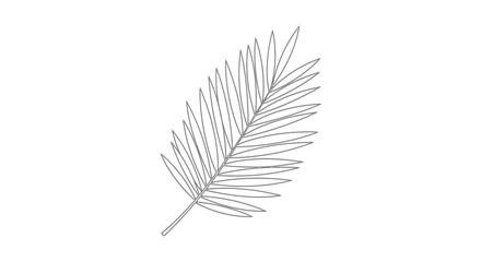 Delicate palm frond illustration offering a minimalist tropical aesthetic creating a light and